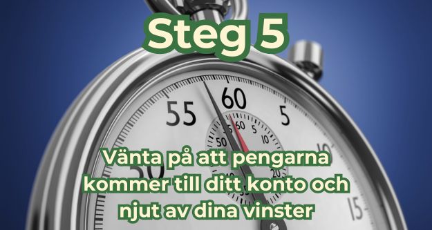 steg 5 vanta pa att pengarna kommer till ditt konto
